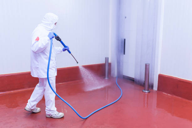 Best Paint Preparation  in Parkland, FL